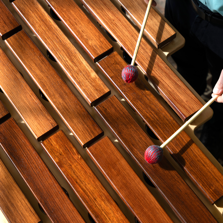 Marimba One |Marimba One |  